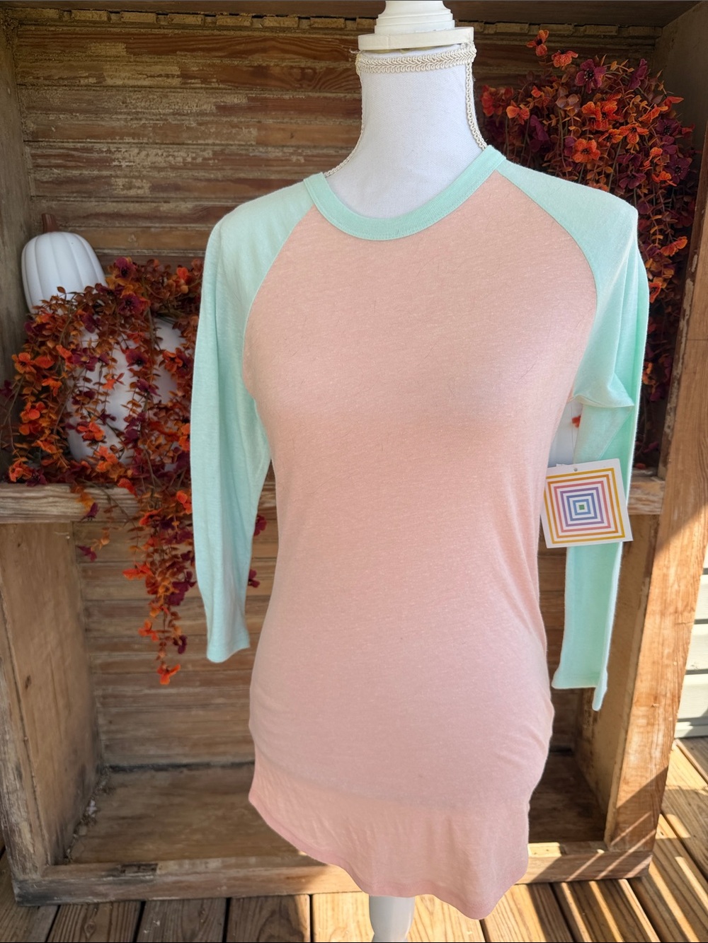 Women’s Mint & Blush Raglan Sleeve Top Lularoe Randy